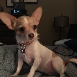 Meet your Posher, Sharon